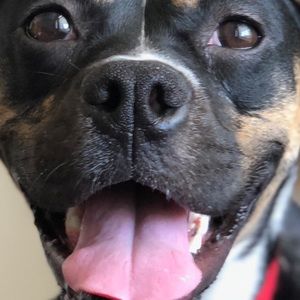 Meet your Posher, Jaime